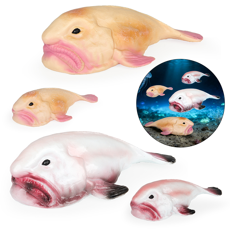 Kids Education In Australia - Oenux Australië Diepzeevis Blobfish Psychrolutes Marcidus