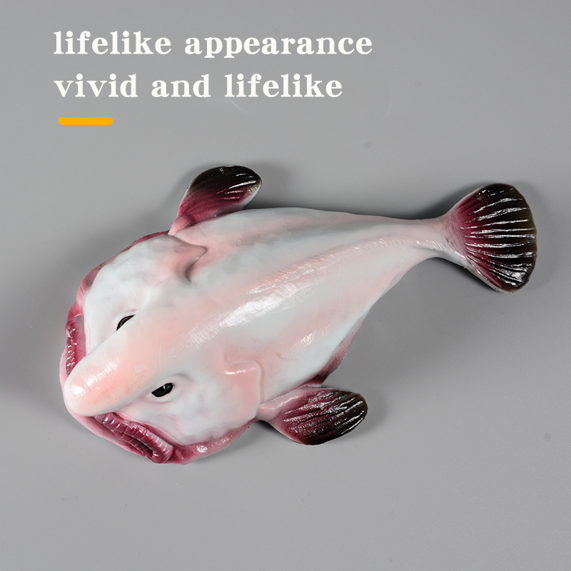 Australië Diepzee Blobfish Psy - Kids Education In Australia recensie en prijs