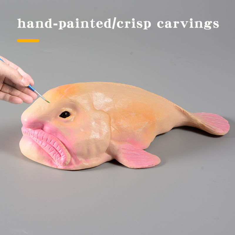Australië Diepzee Blobfish Psy - Kids Education In Australia recensie en prijs