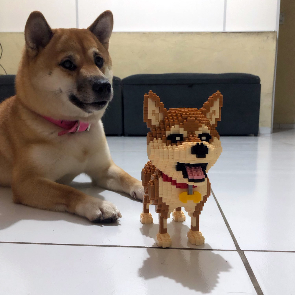 WIST GEBOUWD Shiba Inu Honden  - Kids Education Recreation recensie en prijs